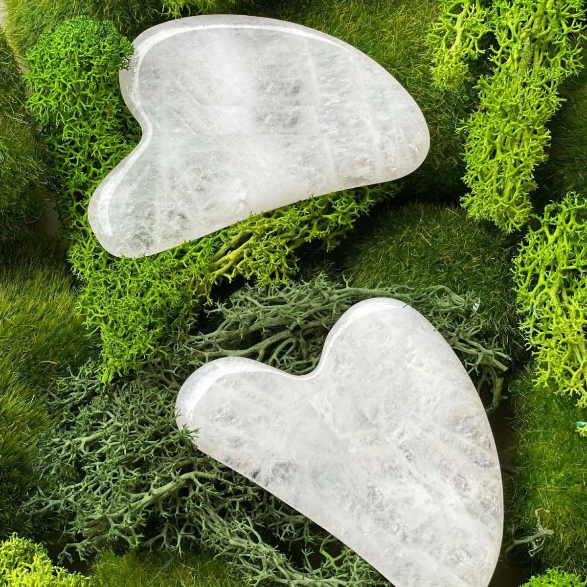 Two white stone tools on a bed of green moss